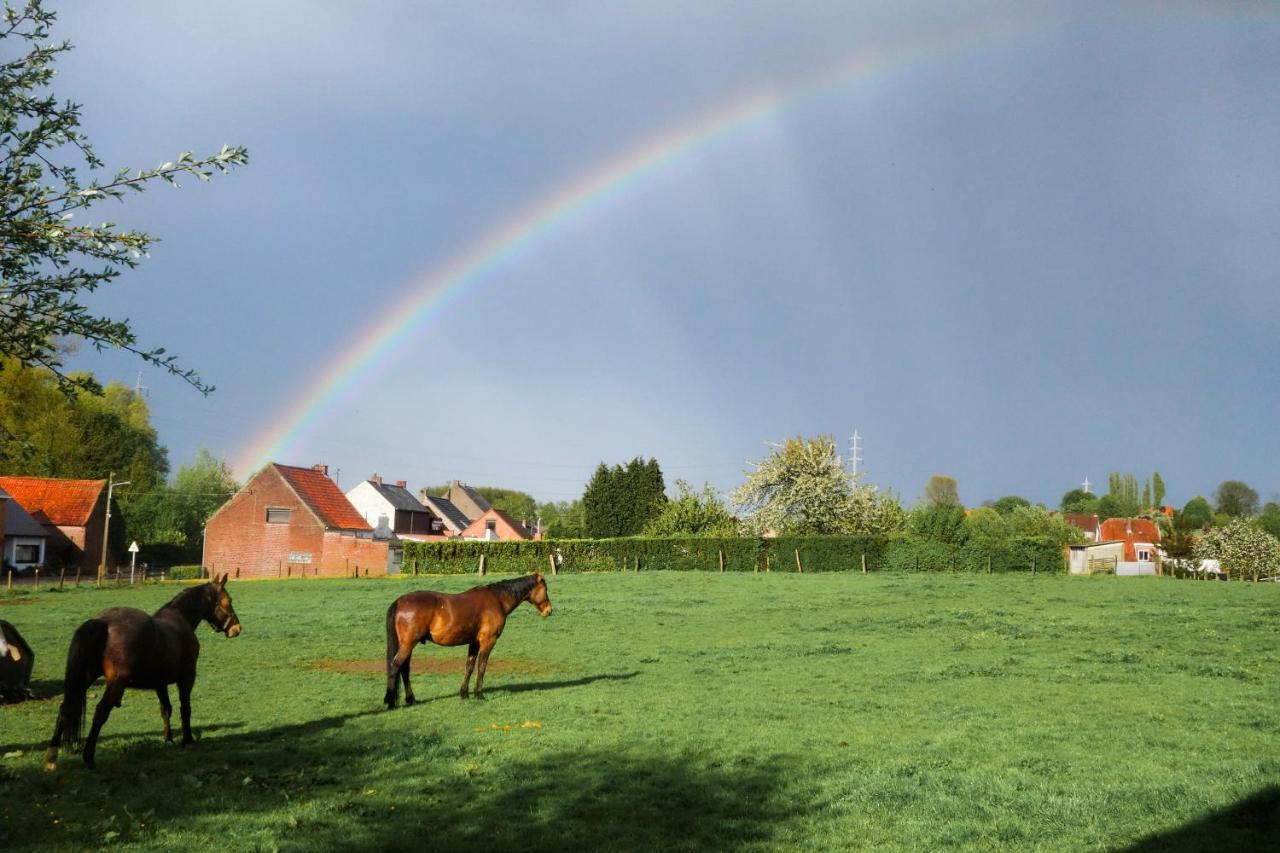 Gite Rural Les Petites Tetes Leuze-en-Hainaut Buitenkant foto