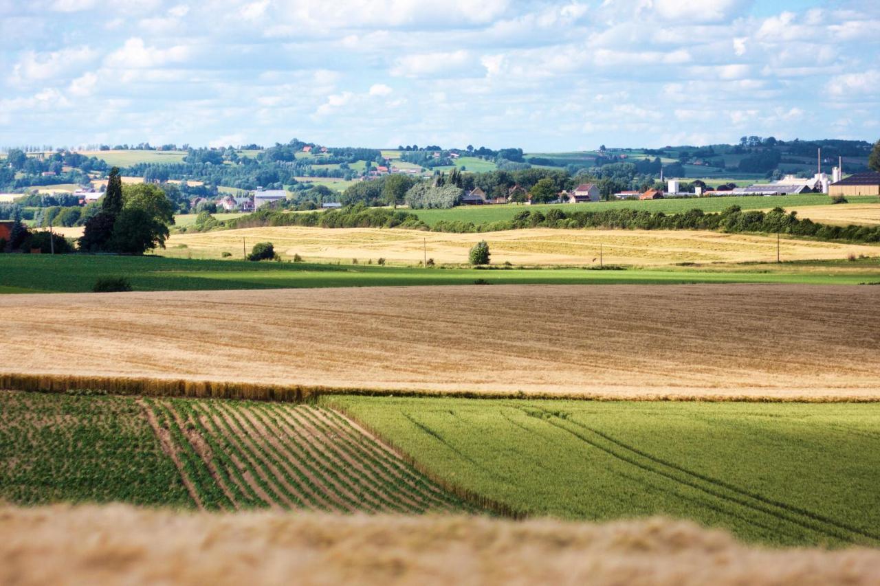 Gite Rural Les Petites Tetes Leuze-en-Hainaut Buitenkant foto